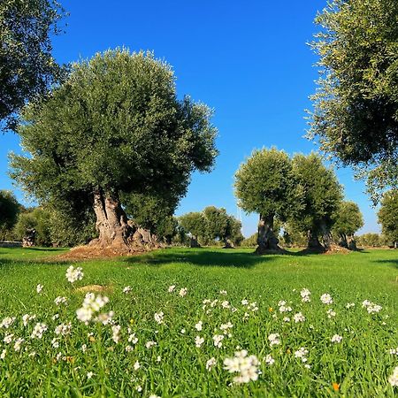 Minicasa Nella Natura, Con Piscina A Due Passi Ostuni Exterior photo