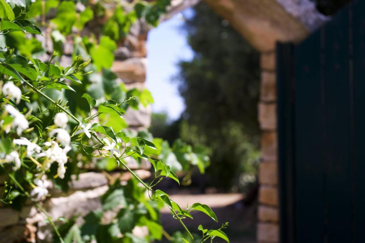 Minicasa Nella Natura, Con Piscina A Due Passi Ostuni Exterior photo